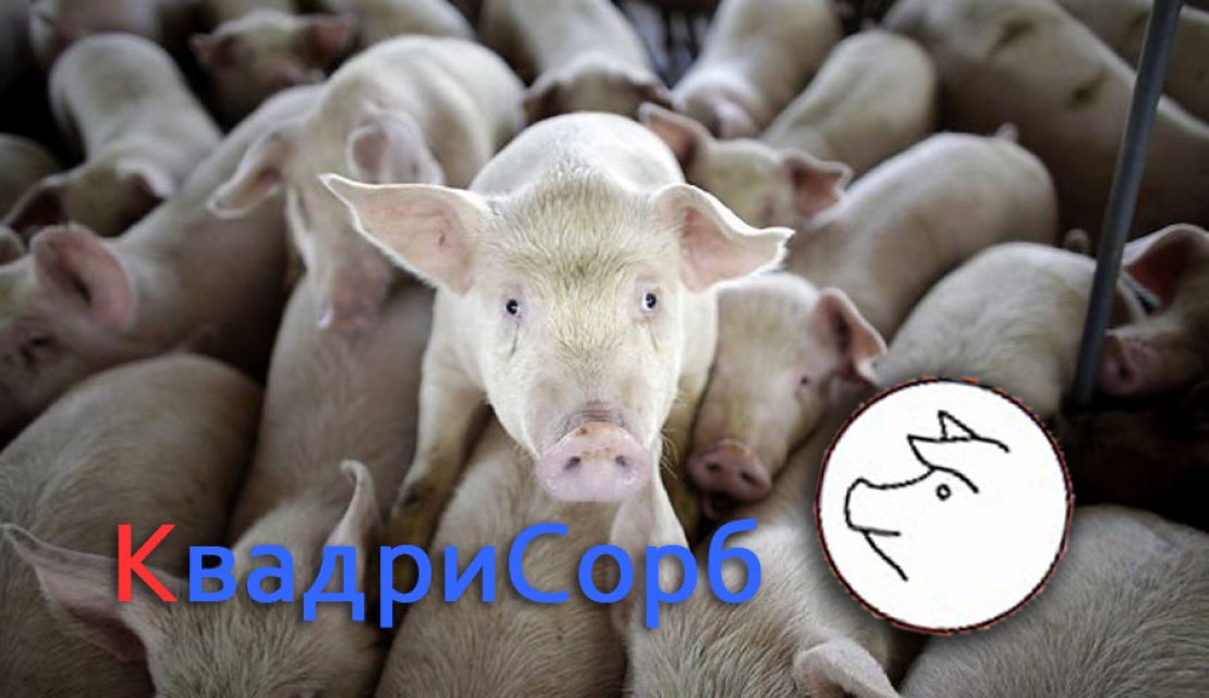 ООО «Квадрисорб» - 0