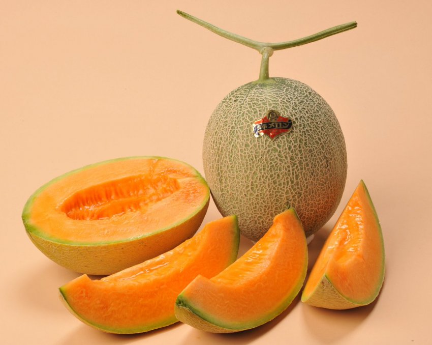 Кавун сорту Yubari King Кавун сорту Yubari King