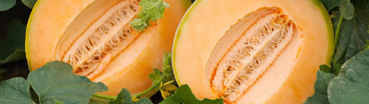 На полицях магазинів Угорщини все більше місцевої кавунчи