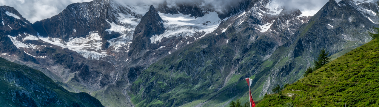 Почти кожна друга квітуча рослина в німецьких гірських регіонах знаходиться під загрозою
