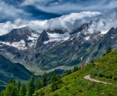 Почти кожна друга квітуча рослина в німецьких гірських регіонах знаходиться під загрозою