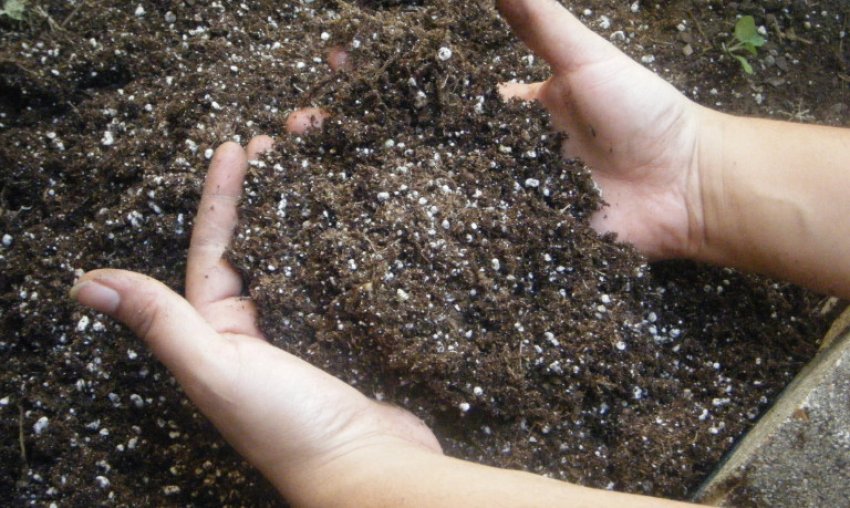 Гранульовані кошти для підгодівлі