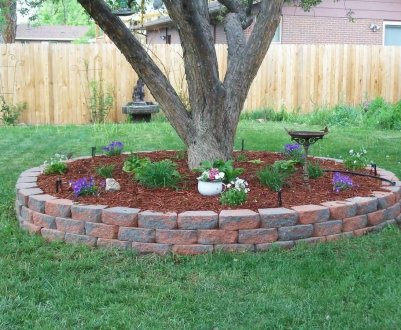 Як правильно оформлювати приствольні круги дерев