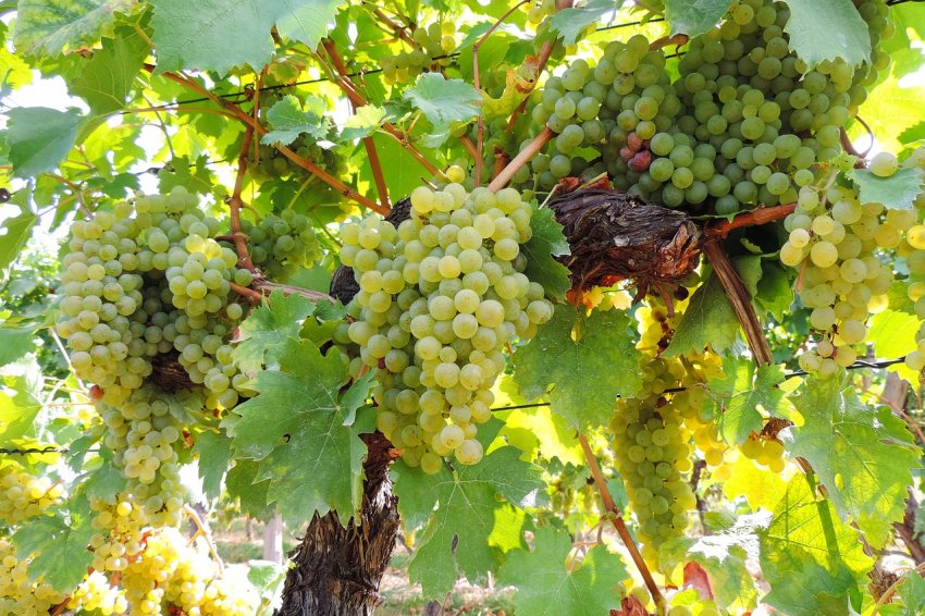 Лунний Лунний