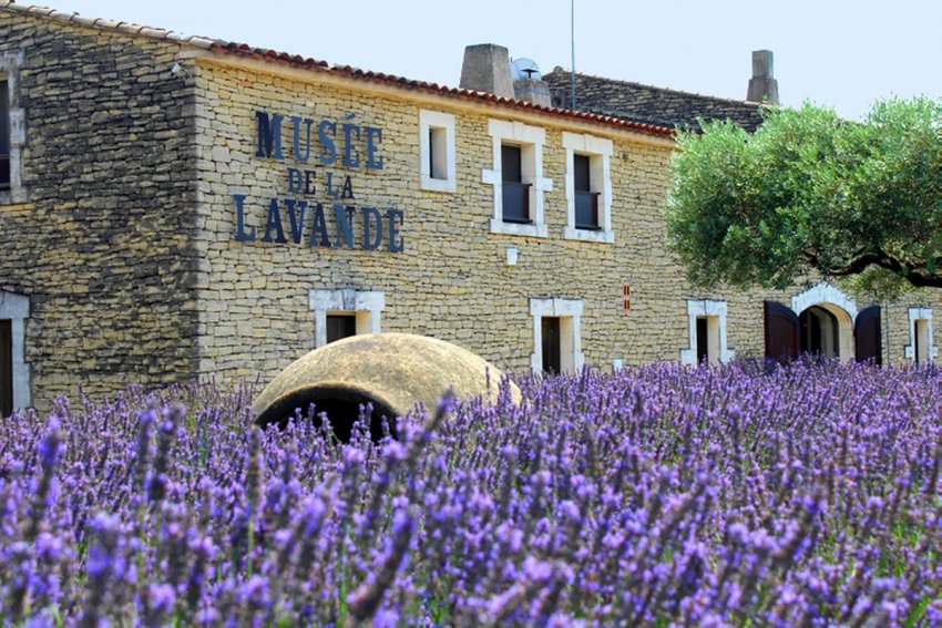 Музей лаванди Музей лаванди