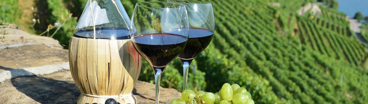 Виноград з Сицилії Red Globe набрав 17,5° цукру за шкалою Брікса