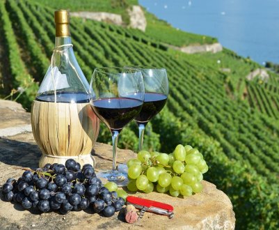 Виноград з Сицилії Red Globe набрав 17,5° цукру за шкалою Брікса