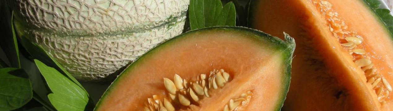 Наступив сезон динь і персиків в Угорщині