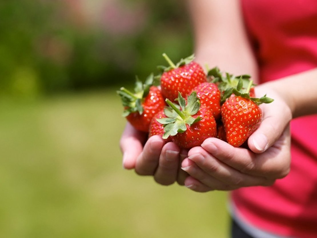  «BestBerry» - 0