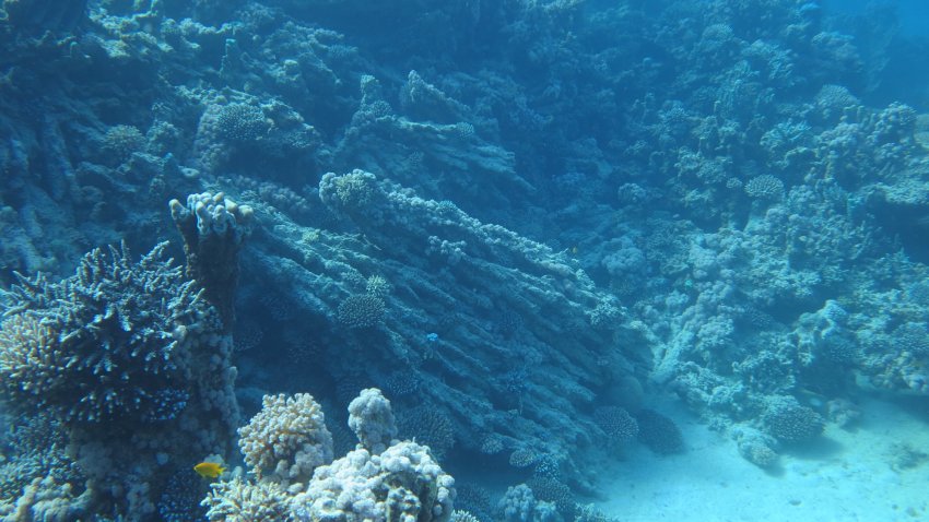 Кам'яні рифи у Балтійському морі