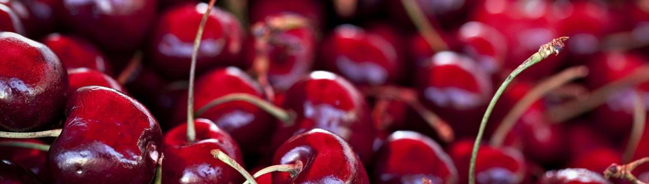 Обсяг виробництва свіжої вишні в Туреччині перевищить показники минулого року