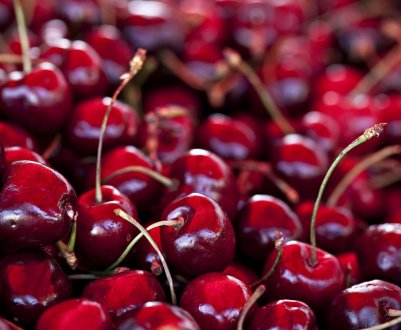 Обсяг виробництва свіжої вишні в Туреччині перевищить показники минулого року