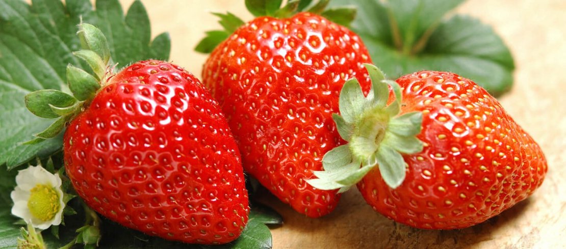 «Artberry» - 4