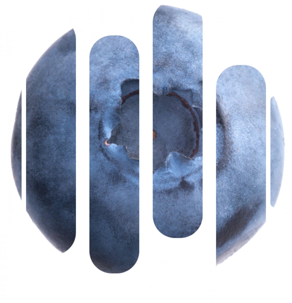 «BlueBerry» - 1