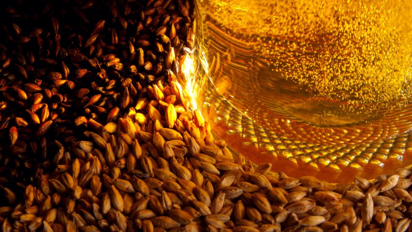 Солод Солод