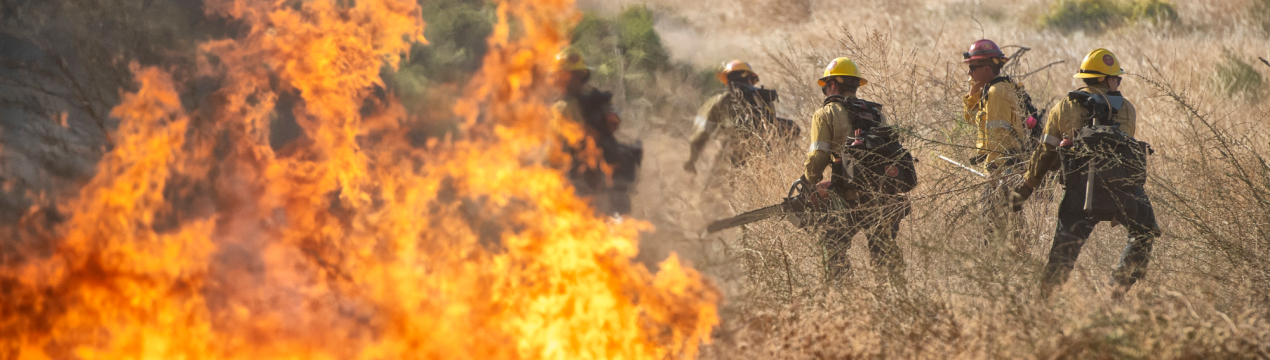 Фермери Сирії зіткнулися з пожежами, високими витратами, нестачею води