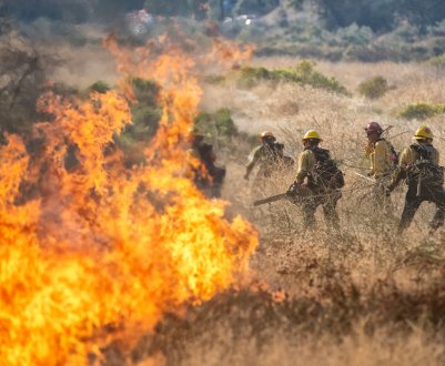 Фермери Сирії зіткнулися з пожежами, високими витратами, нестачею води