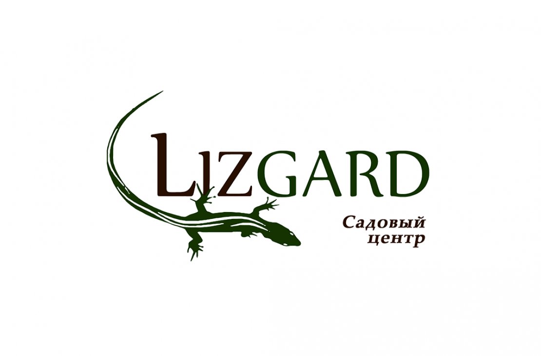  «Лизгард» - 0