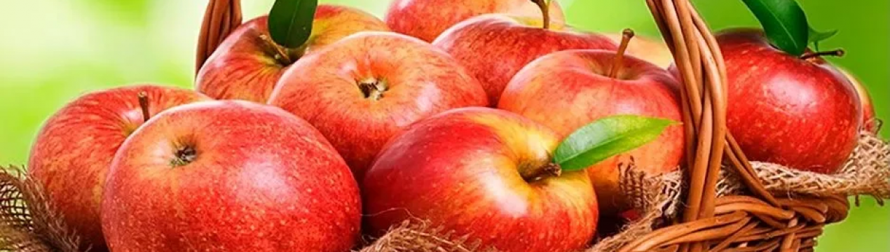У цьому році яблук і груш буде набагато менше