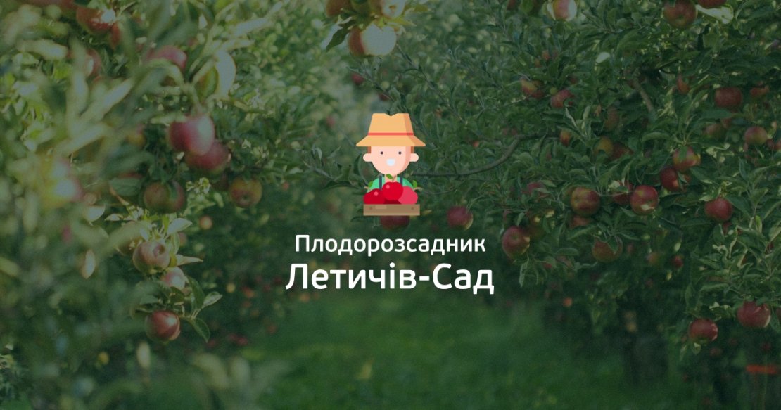  «Летичев-Сад» - 0