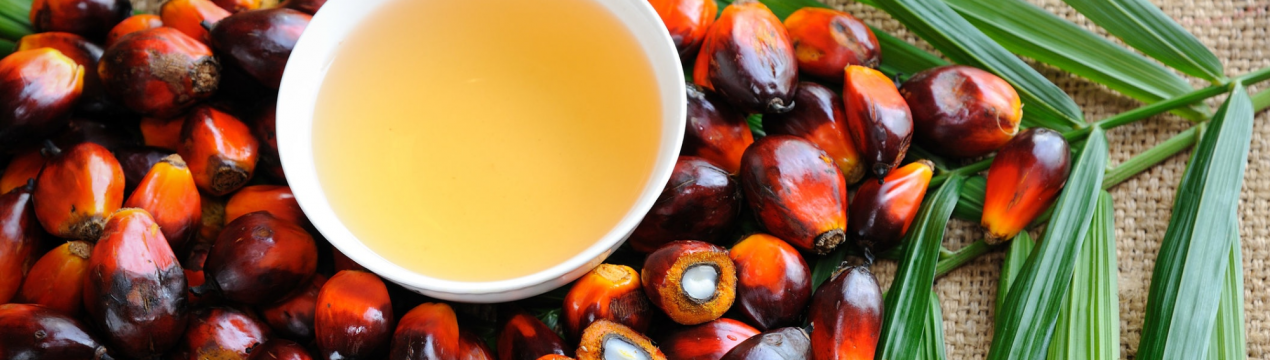 ЄС імпортує більше пальмової олії