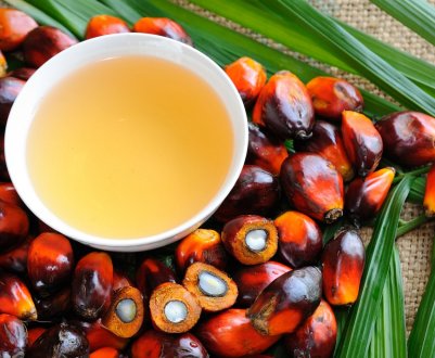 ЄС імпортує більше пальмової олії