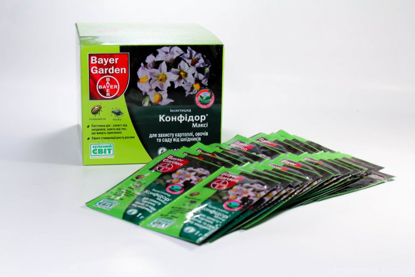 Конфідор Максі Конфідор Максі