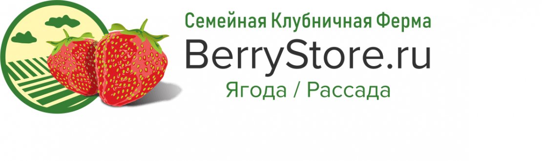  Клубничная ферма Борисовых «BerryStore» - 0