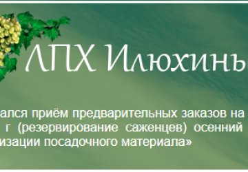 «ЛПХ Илюхины»
