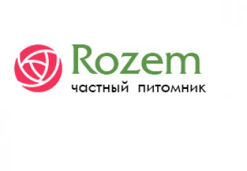 «Rozem»