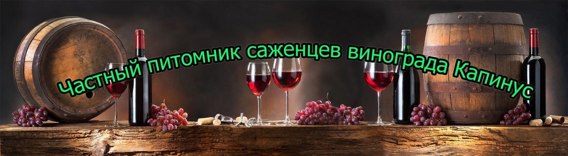 «Виноград-Капинус»
