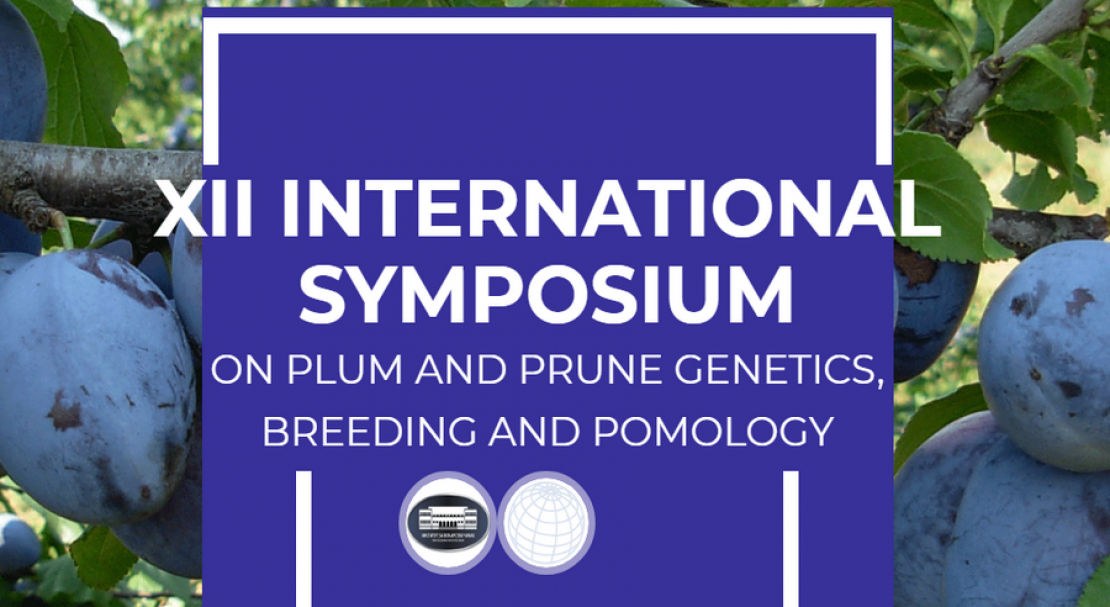 Plum And Prune Genetics, Breeding And Pomology