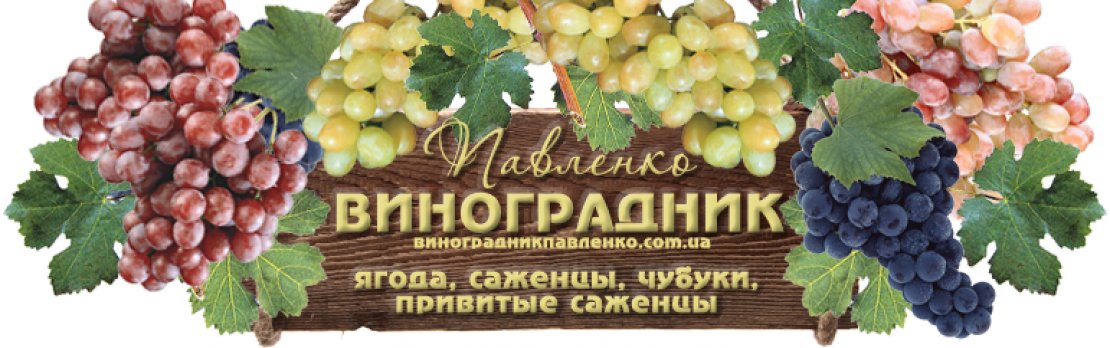  «Виноградник Павленко»