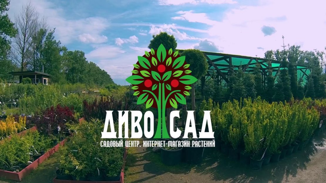 «ДИВО САД»