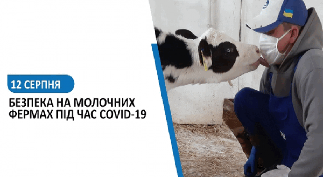 Безпека на молочних фермах під час Covid-19