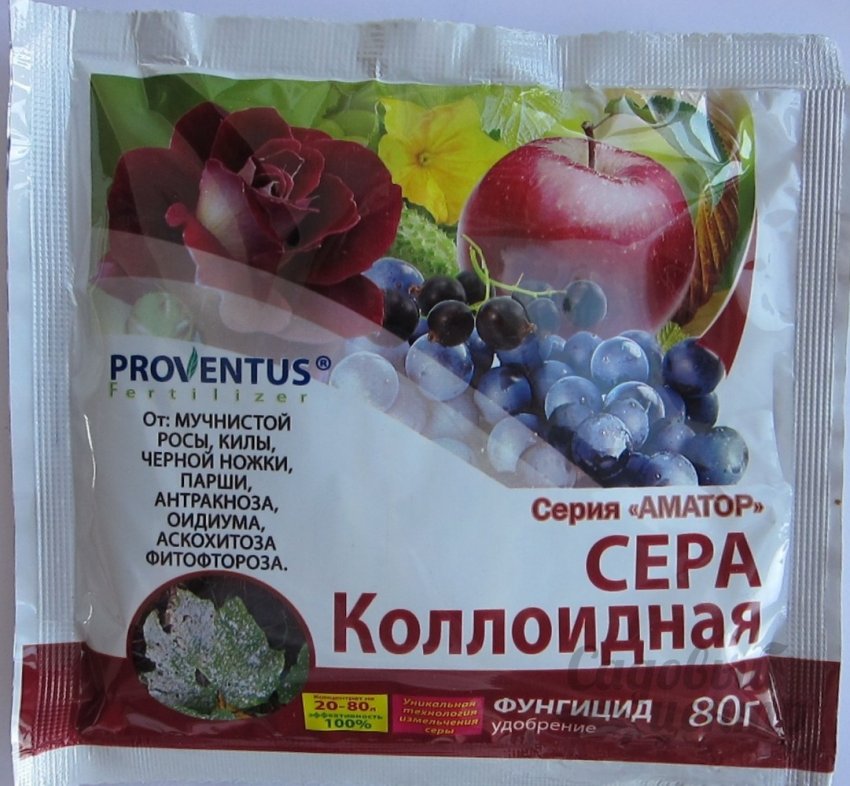 Колоїдна сіра Колоїдна сіра