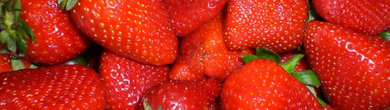 Нужно ли обрабатывать клубнику после сбора урожая. . Нужно ли обрабатывать клубнику после сбора урожая фото. Нужно ли обрабатывать клубнику после сбора урожая-. картинка Нужно ли обрабатывать клубнику после сбора урожая. картинка . Добавить в избранное
