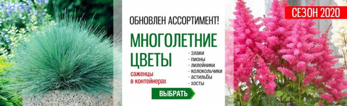  «Сибирский Сад» - 1