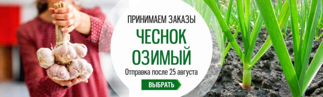  «Сибирский Сад» - 2