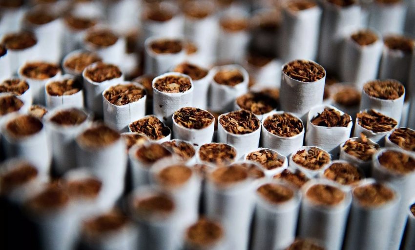 Виробництво тютюну Виробництво тютюну