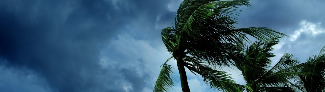 Тропічний шторм завдає шкоду сільськогосподарським культурам США