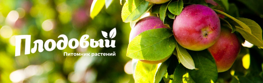 «Плодовый»
