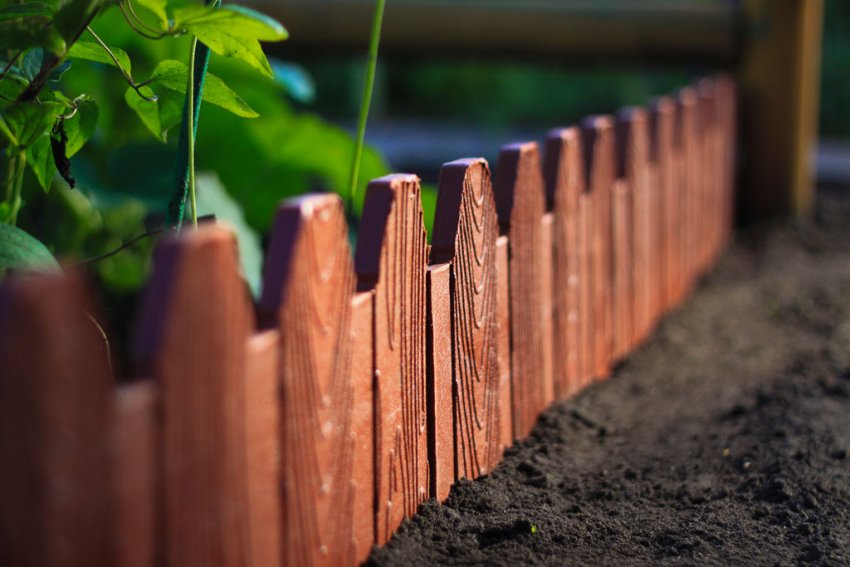 Дерево Дерево