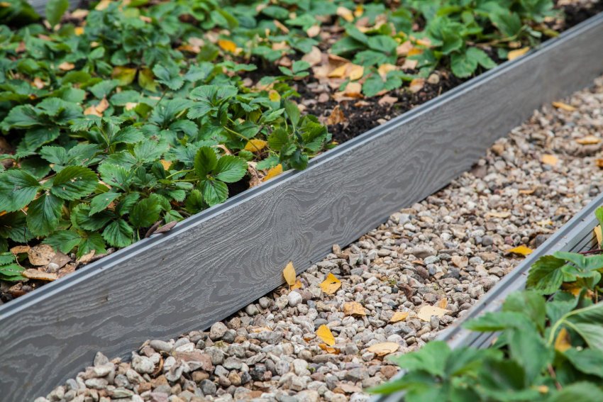 Декоративна функція Декоративна функція