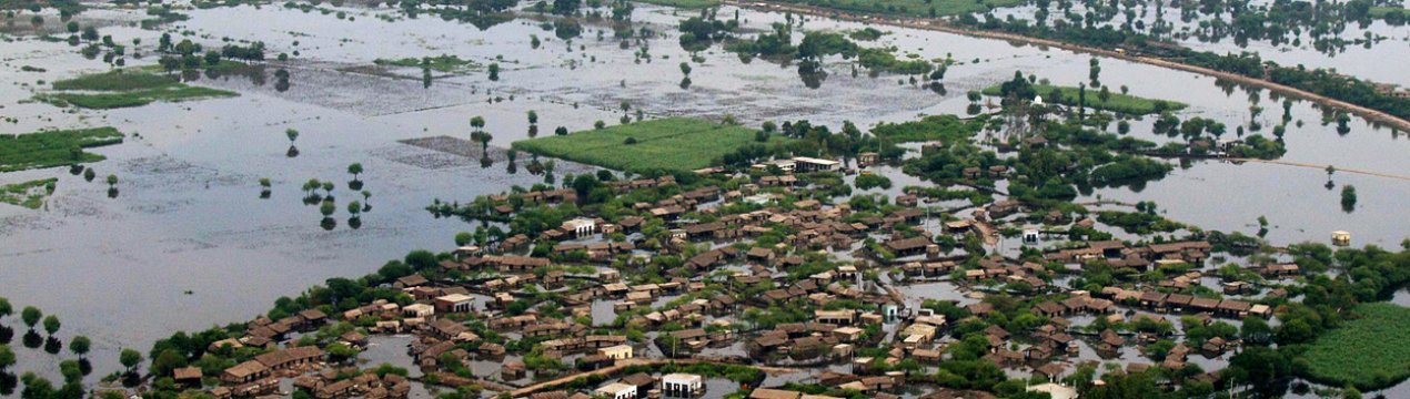 У Китаї внаслідок повені постраждале сільське господарство