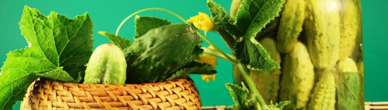 Щоб банки не вибухали: хитрощі для посолу огірків