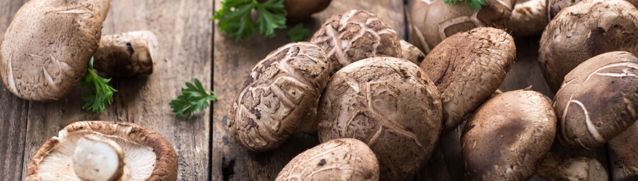 Користь і шкода грибів шиітаке