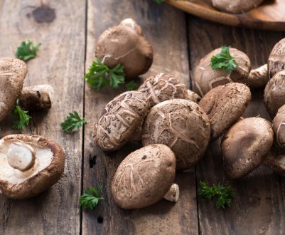 Користь і шкода грибів шиітаке