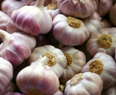 Зачем зав'язувати листки часнику в вузол