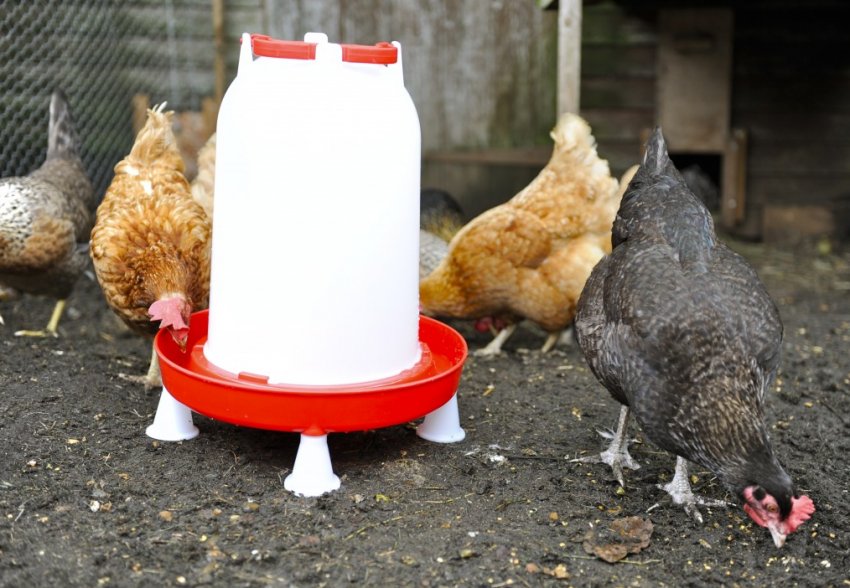 Вакуумна автопоилка Вакуумна автопоилка